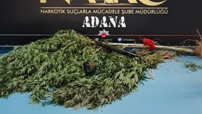 Adana polisinden drone ile hint keneviri avı