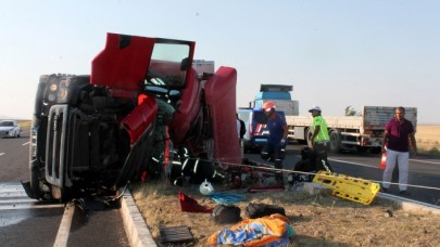 Aksaray'da büyükbaş hayvan yüklü tır devrildi: 2 yaralı