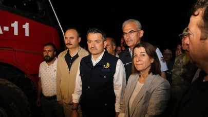 Bakan Pakdemirli: 'Yangın çok kuvvvetle kontrol altında'