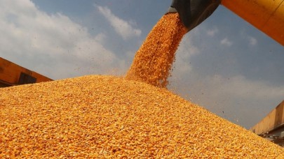 Bakan Pakdemirli mısır alım fiyatını açıkladı