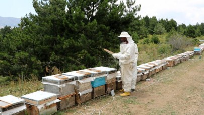 Bu zehrin gramı 400 TL! Türkiye'de ilk kez yapıldı...