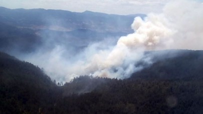Bursa'da orman yangını