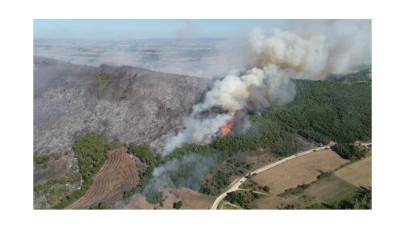 Bursa'da orman yangını