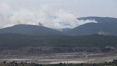Bursa'daki orman yangını kısmen kontrol altına alındı