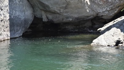 Çayda çırpınan ablasını kurtarmak isterken boğuldu