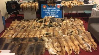 Esenboğa Havalimanı'nda 128 adet kunduz ve tilki postu ele geçirdi