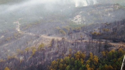 Eskişehir'deki orman yangını kontrol altına alındı