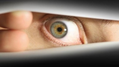 Ev gözetlemeye gözaltı