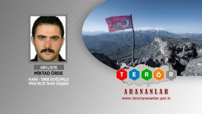 Gri kategorideki terörist etkisiz hale getirildi