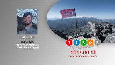 Gri listede aranan terörist etkisiz hale getirildi