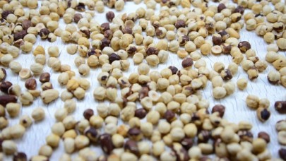 İç fındık ihracatında rekor beklentisi