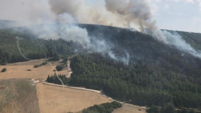 İzmir Büyükşehir Belediyesi'nden yangınlarla ilgili flaş açıklama: Karşıyaka kadar büyük bir alan yandı