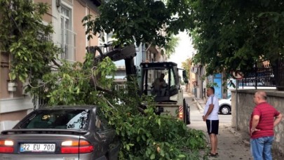 Kökü çürüyen ceviz ağacı otomobilin üzerine devrildi