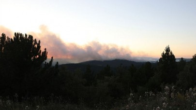 Kütahya'daki orman yangını kontrol altına alındı