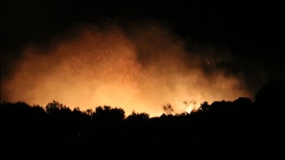 Marmara Adası'ndaki yangın kontrol altına alındı