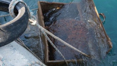 Muğla'da denizden çöp konteyneri çıkardılar