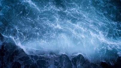 Tasarı onaylandı! Nesli tükenmekte olan deniz canlıları korunacak