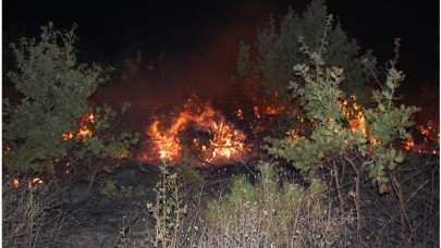 Tekirdağ'daki orman yangınında 150 dönüm alan zarar gördü