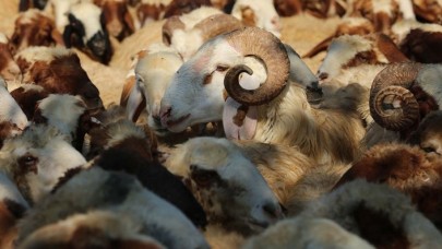 Türk Kızılay,  Kırgızistan'da 4 bin aileye kurban etini ulaştıracak