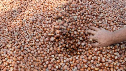 Türkiye'den 11 ayda 262 bin ton fındık ihraç edildi