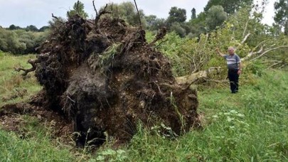 Yer: Kırklareli... 10 dakikada 200 dekarlık alanı talan oldu
