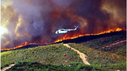 27 Orman Yangınının Sorumlusu PKK!