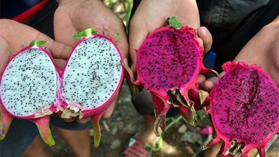 40 yıllık mesleğini bırakıp bir ilki gerçekleştirdi: "Masrafsız ve bakımı kolay"