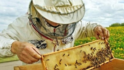 Adana'da kovan çaldığı iddia edilen kişi arı sokması sonucu hayatını kaybetti