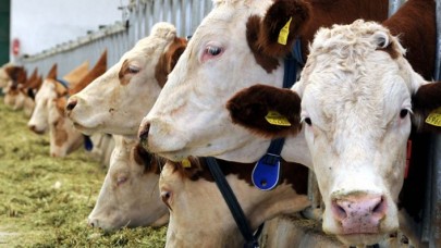 Karar bugün yürürlüğe girdi... Artık yasak