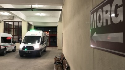 Piknik yapmak için gitmişlerdi... Anne ve kızından acı haber