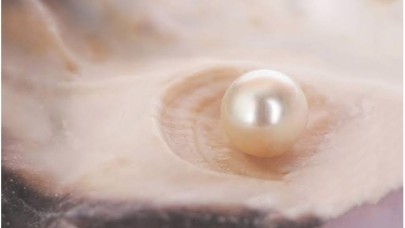 Dünyanın En Eski İncisi Bulundu