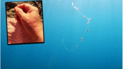 Antalya'da Denize Girenleri Elektrik Çarpıyor!