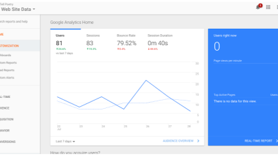 Google Analytics'e Dünya Genelinde Ulaşılamıyor!