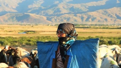 İŞKUR Çoban Yetiştirecek: Haftada 5 Gün Eğitim,  Yevmiye Devletten!