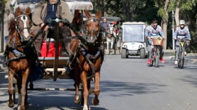 Fayton Atlarının Egzersiz İhtiyacı Olacak!