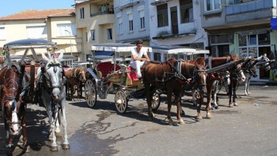 Vali Yerlikaya: Adalar'da Faytonlara At Koşulması 3 Ay Süreyle Durduruldu!
