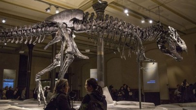 Bilim İnsanları Dinozorların Yok Olmasının Gerçek Nedenini Açıkladı!