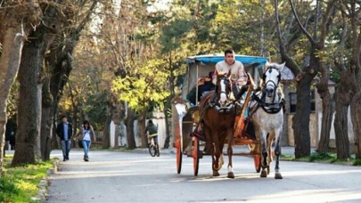 Faytonculara İBB'den Müjde Geldi!