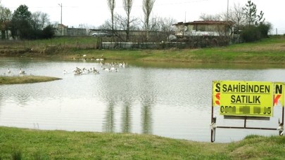 İstanbul'da Sahibinden Satılık Gölün Fiyatı Şaşırtıyor!