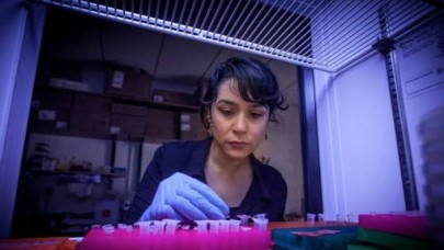 Türk Bilim Kadınının Büyük Başarısı: NASA Ekibine Kabul Edildi!