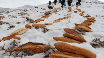Afetlerden Korunmak İçin Doğaya 2001 Ekmek Bıraktılar!