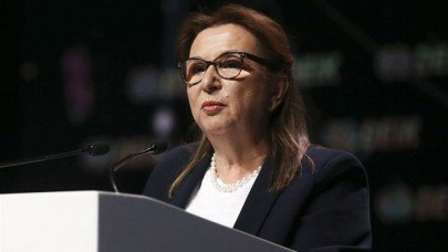 Bakan Pekcan açıkladı: Kapıkule'deki operasyonda yeni rekor!