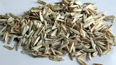 Çekirdek ülkeye alınmazsa fiyatı 40 TL'ye çıkabilir