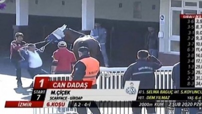 İzmir’de Düzenlenen 9 Eylül Koşusunda  Şok Görüntüler: Ata Şiddet Uyguladı!