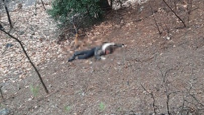 Kuzeninin kumalık teklifini reddedince... Kan donduran cinayet!