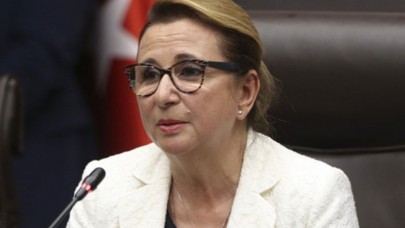Bakan Pekcan: Paket turlar iptal edilebilir