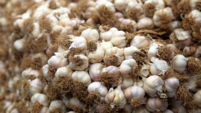 Koronavirüs sarımsağı da vurdu: Fiyatı cep yakıyor!