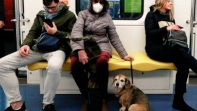 Koronavirüste bir ilk: İnsandan köpeğe geçti!