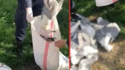 20 martı vuran avcıya 16 bin lira ceza