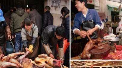 Çin'de köpek eti satan restoran sahibinden kan donduran itiraflar: Gördüklerinize inanamayacaksınız!